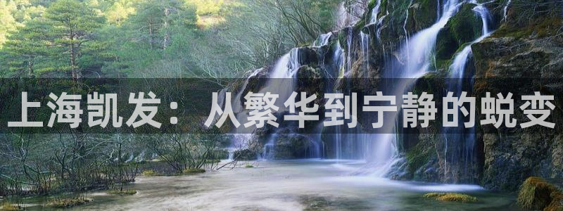 彩易通app下载