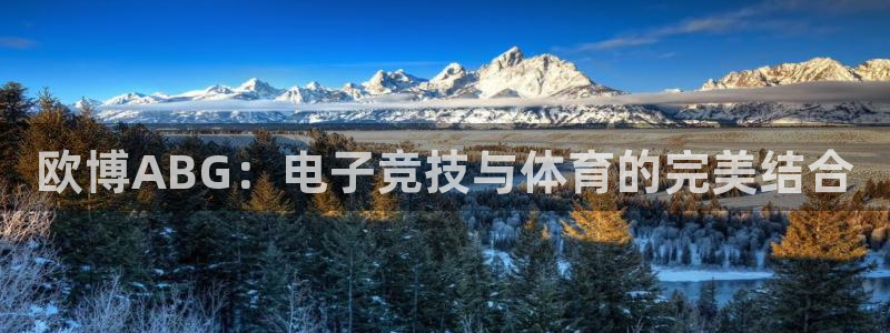 彩易通下载