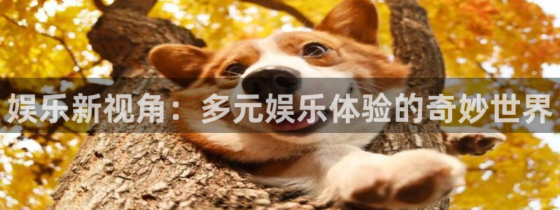 彩易通