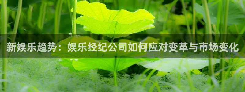 彩易通官网