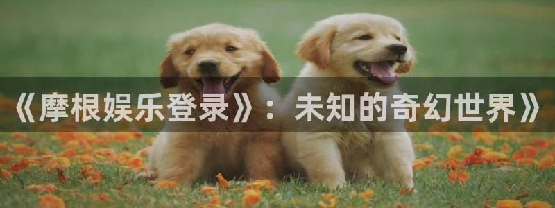 彩易通手机版官网