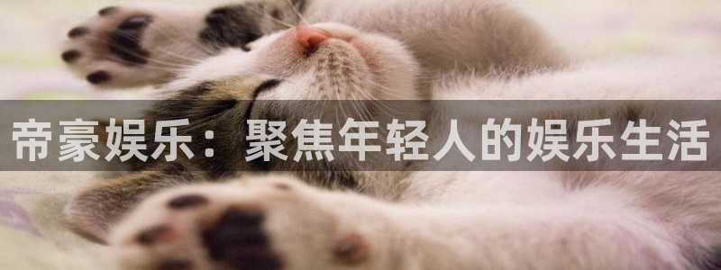 彩易通app下载