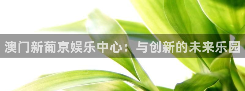 彩易通手机版官网