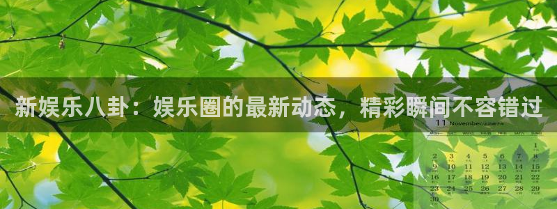 彩易通选号工具