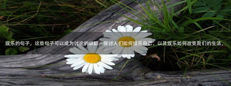 彩易通选号工具