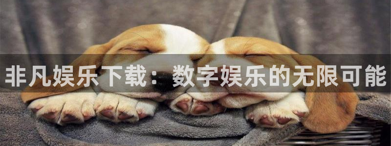 彩易通app下载