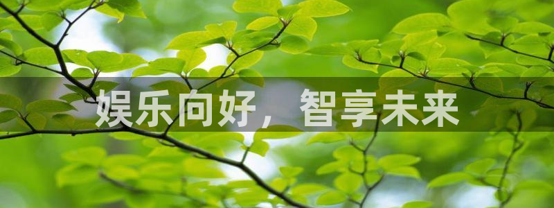 彩易通选号工具：娱乐向好，智享未来