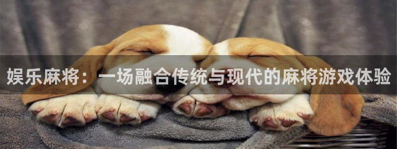 彩易通官网：娱乐麻将：一场融合传统与现代的麻将游戏体验