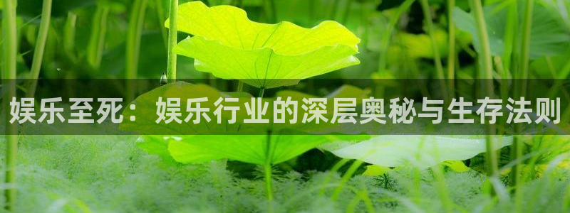 彩易通官网：娱乐至死：娱乐行业的深层奥秘与生存法则