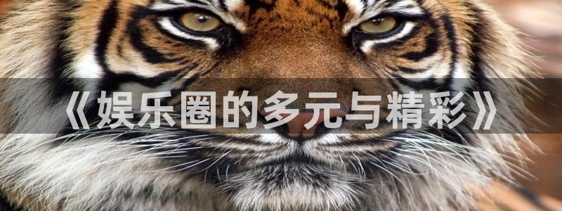 彩易通选号工具：《娱乐圈的多元与精彩》