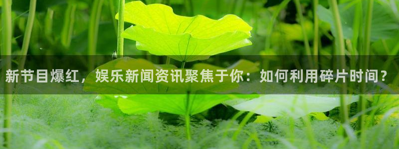 彩易通手机版官网：新节目爆红，娱乐新闻资讯聚焦于你：如何利用碎片时间？