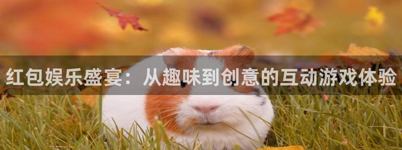 彩易通官网：红包娱乐盛宴：从趣味到创意的互动游戏体验