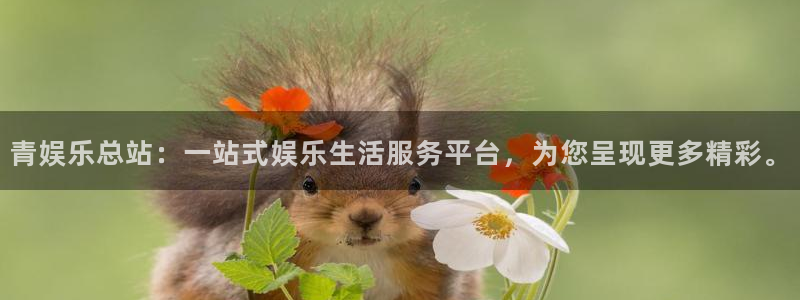 彩易通官网：青娱乐总站：一站式娱乐生活服务平台，为您呈现更多精彩。