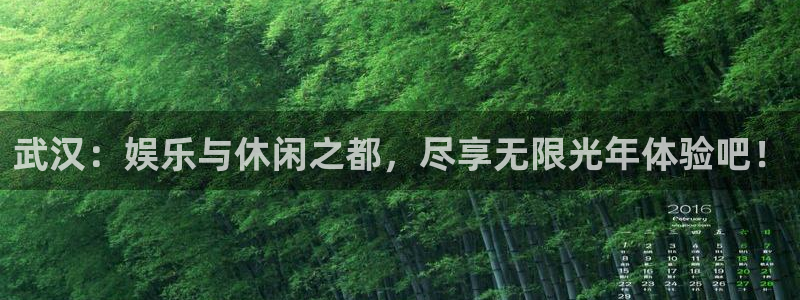 彩易通下载：武汉：娱乐与休闲之都，尽享无限光年体验吧！
