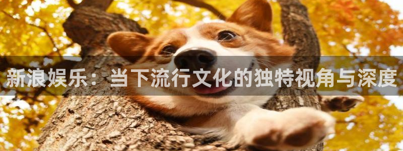 彩易通选号工具：新浪娱乐：当下流行文化的独特视角与深度